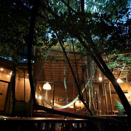 Ojo De Arbol, Boutique Cabin In The Real Jungle ตูลุม ภายนอก รูปภาพ