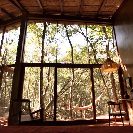 Ojo De Arbol, Boutique Cabin In The Real Jungle ตูลุม ภายนอก รูปภาพ