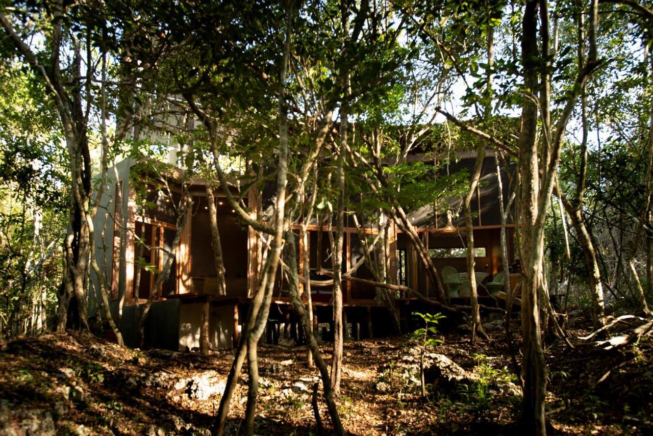 Ojo De Arbol, Boutique Cabin In The Real Jungle ตูลุม ภายนอก รูปภาพ