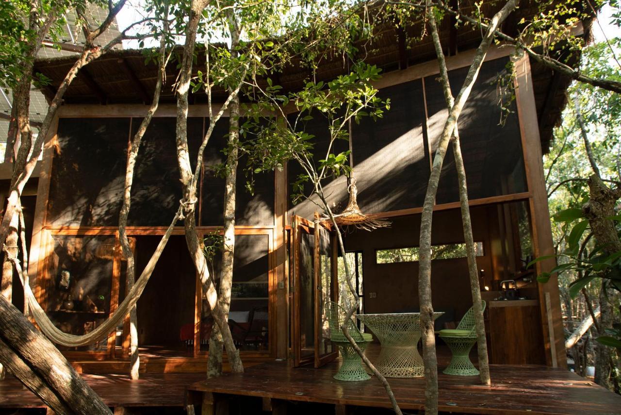 Ojo De Arbol, Boutique Cabin In The Real Jungle ตูลุม ภายนอก รูปภาพ