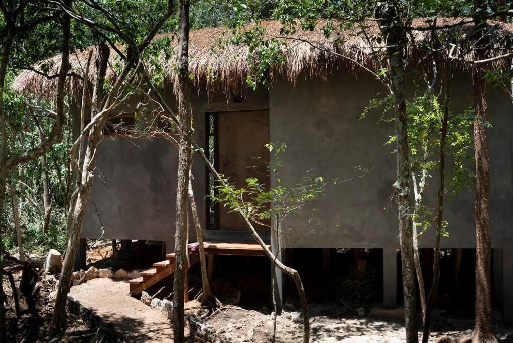 Ojo De Arbol, Boutique Cabin In The Real Jungle ตูลุม ภายนอก รูปภาพ