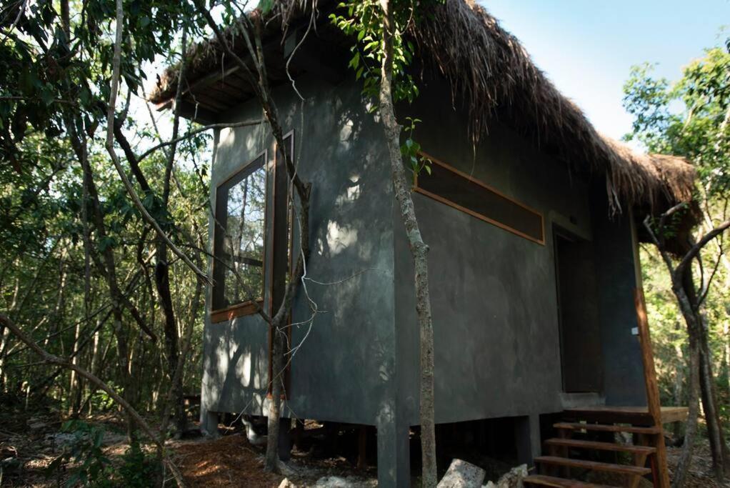 Ojo De Arbol, Boutique Cabin In The Real Jungle ตูลุม ภายนอก รูปภาพ
