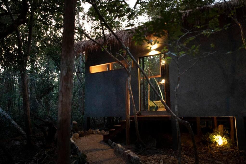 Ojo De Arbol, Boutique Cabin In The Real Jungle ตูลุม ภายนอก รูปภาพ