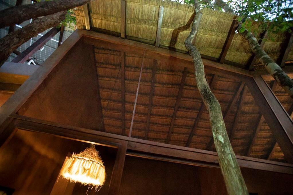 Ojo De Arbol, Boutique Cabin In The Real Jungle ตูลุม ภายนอก รูปภาพ