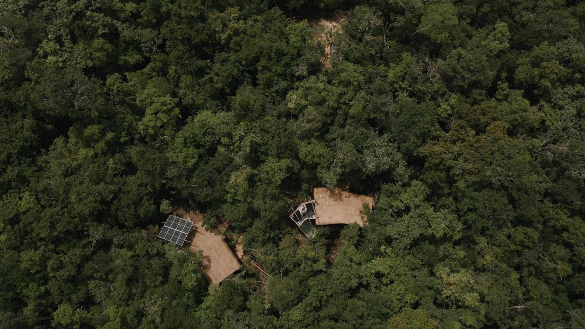 Ojo De Arbol, Boutique Cabin In The Real Jungle ตูลุม ภายนอก รูปภาพ